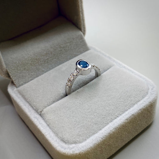 ANILLO VEGA